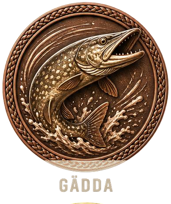 Rang: Gädda